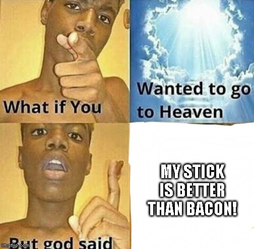 What if you wanted to go to Heaven | MY STICK IS BETTER THAN BACON! | image tagged in what if you wanted to go to heaven,star wars yoda | made w/ Imgflip meme maker
