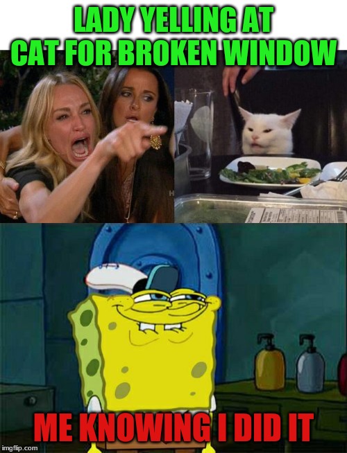 LADY YELLING AT CAT FOR BROKEN WINDOW; ME KNOWING I DID IT | image tagged in memes,dont you squidward,woman yelling at cat | made w/ Imgflip meme maker