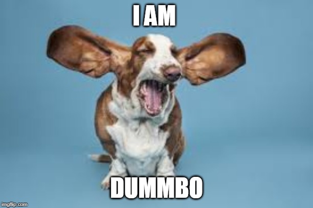 I AM; DUMMBO | image tagged in flying | made w/ Imgflip meme maker