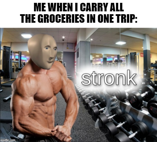 stronks | ME WHEN I CARRY ALL THE GROCERIES IN ONE TRIP: | image tagged in stronks | made w/ Imgflip meme maker