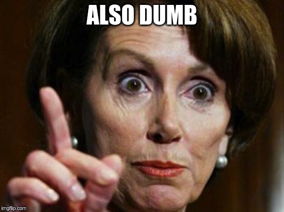 Nancy Pelosi No Spending Problem | ALSO DUMB | image tagged in nancy pelosi no spending problem | made w/ Imgflip meme maker