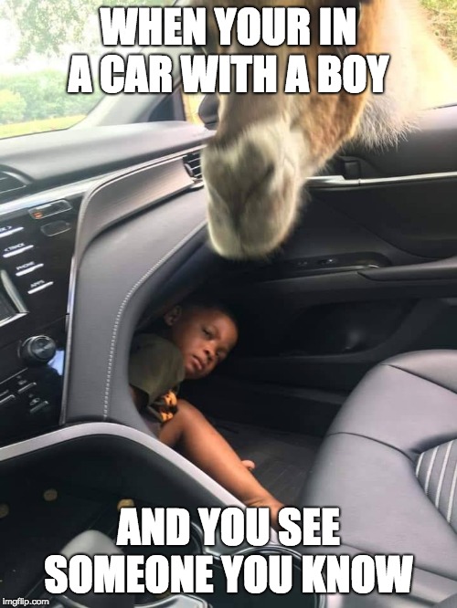 Boy hiding from Giraffe | WHEN YOUR IN A CAR WITH A BOY; AND YOU SEE SOMEONE YOU KNOW | image tagged in boy hiding from giraffe | made w/ Imgflip meme maker