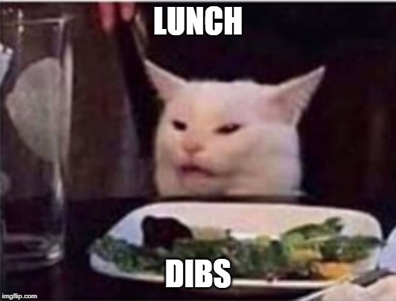 white dinner table cat | LUNCH; DIBS | image tagged in white dinner table cat | made w/ Imgflip meme maker