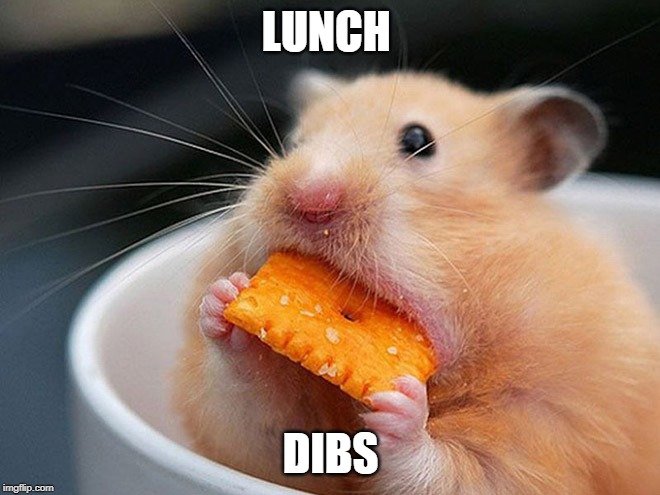 lunch | LUNCH; DIBS | image tagged in lunch | made w/ Imgflip meme maker