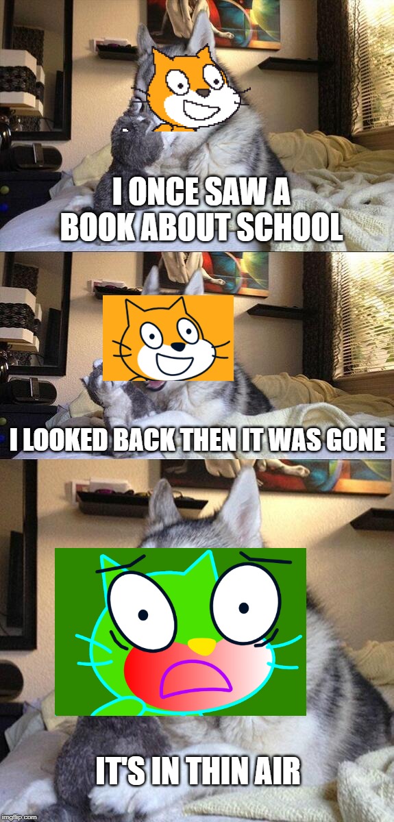 Bad Pun Cat?! | I ONCE SAW A BOOK ABOUT SCHOOL; I LOOKED BACK THEN IT WAS GONE; IT'S IN THIN AIR | image tagged in memes,bad pun dog | made w/ Imgflip meme maker