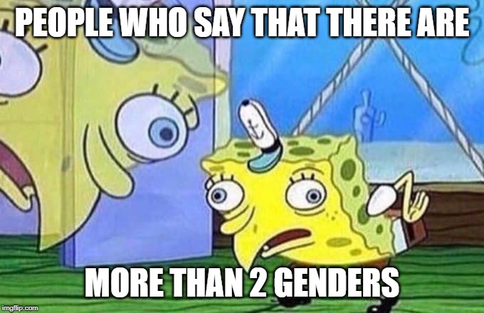 Idiots, Idiots Everywhere... | PEOPLE WHO SAY THAT THERE ARE; MORE THAN 2 GENDERS | image tagged in mocking spongebob,gender,special kind of stupid,stupid liberals | made w/ Imgflip meme maker