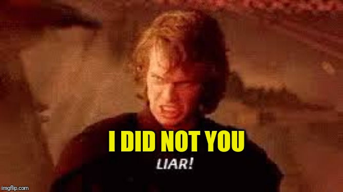 Anakin Liar | I DID NOT YOU | image tagged in anakin liar | made w/ Imgflip meme maker