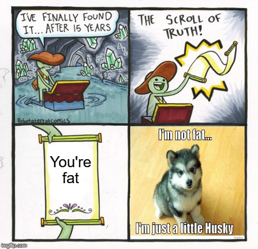 The Scroll Of Truth | You're fat | image tagged in memes,the scroll of truth | made w/ Imgflip meme maker