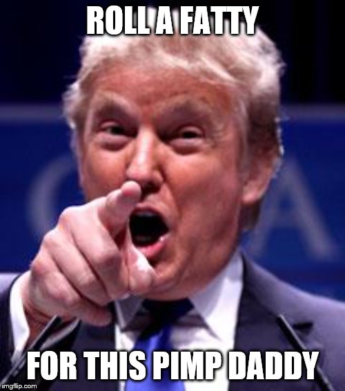 Trump Trademark | ROLL A FATTY; FOR THIS PIMP DADDY | image tagged in trump trademark | made w/ Imgflip meme maker