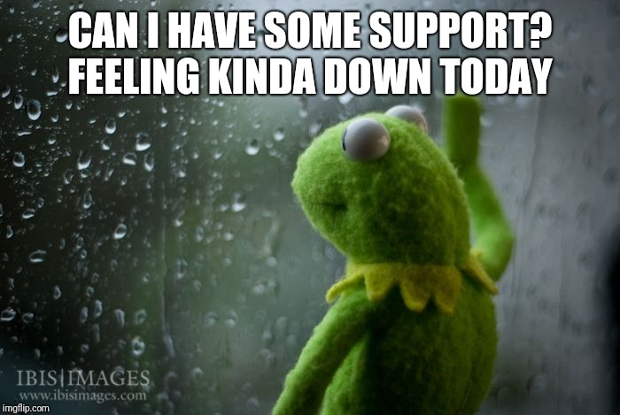 kermit window | CAN I HAVE SOME SUPPORT? FEELING KINDA DOWN TODAY | image tagged in kermit window | made w/ Imgflip meme maker