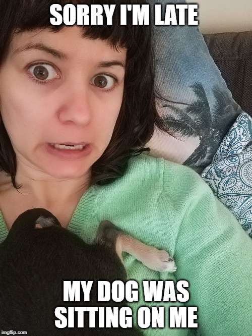 dogsitterdogblog | SORRY I'M LATE; MY DOG WAS SITTING ON ME | image tagged in dogsitterdogblog | made w/ Imgflip meme maker