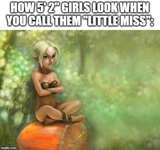 Angry fairy | HOW 5' 2" GIRLS LOOK WHEN YOU CALL THEM "LITTLE MISS": | image tagged in angry fairy | made w/ Imgflip meme maker
