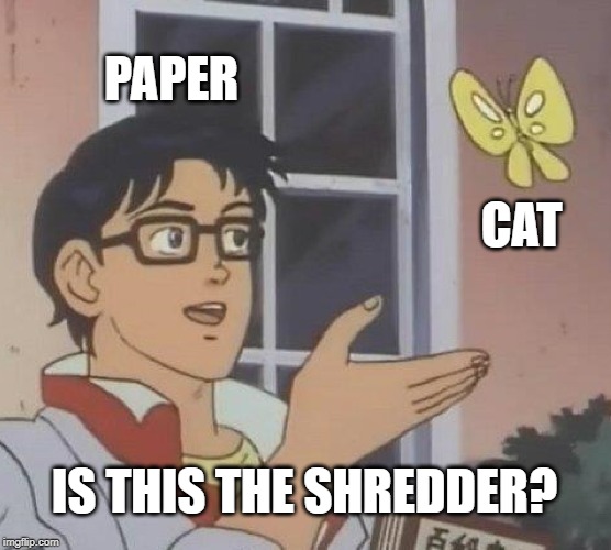 Is This A Pigeon Meme | PAPER; CAT; IS THIS THE SHREDDER? | image tagged in memes,is this a pigeon | made w/ Imgflip meme maker