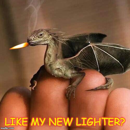 Dragon Lighter | LIKE MY NEW LIGHTER? | image tagged in lighter,dragon,dragon lighter,smokes,fire it up,fuego | made w/ Imgflip meme maker