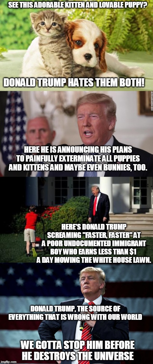 The Trouble With Trump | SEE THIS ADORABLE KITTEN AND LOVABLE PUPPY? DONALD TRUMP HATES THEM BOTH! HERE HE IS ANNOUNCING HIS PLANS TO PAINFULLY EXTERMINATE ALL PUPPIES AND KITTENS AND MAYBE EVEN BUNNIES, TOO. HERE'S DONALD TRUMP SCREAMING "FASTER, FASTER" AT A POOR UNDOCUMENTED IMMIGRANT BOY WHO EARNS LESS THAN $1  A DAY MOWING THE WHITE HOUSE LAWN. DONALD TRUMP, THE SOURCE OF EVERYTHING THAT IS WRONG WITH OUR WORLD; WE GOTTA STOP HIM BEFORE HE DESTROYS THE UNIVERSE | image tagged in donald trump,cute puppies,cute kittens,cute undocumented immigrants,mean donald trump | made w/ Imgflip meme maker