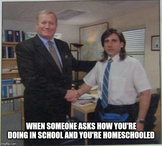the office handshake | WHEN SOMEONE ASKS HOW YOU'RE DOING IN SCHOOL AND YOU'RE HOMESCHOOLED | image tagged in the office handshake | made w/ Imgflip meme maker