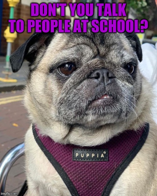 DON'T YOU TALK TO PEOPLE AT SCHOOL? | made w/ Imgflip meme maker