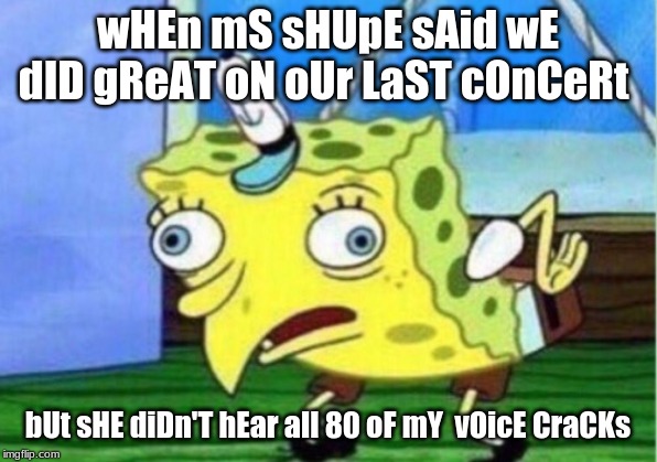 Mocking Spongebob Meme | wHEn mS sHUpE sAid wE dID gReAT oN oUr LaST cOnCeRt; bUt sHE diDn'T hEar all 80 oF mY  vOicE CraCKs | image tagged in memes,mocking spongebob | made w/ Imgflip meme maker