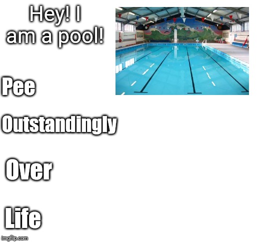 Blank White Template | Hey! I am a pool! Pee; Outstandingly; Over; Life | image tagged in blank white template | made w/ Imgflip meme maker