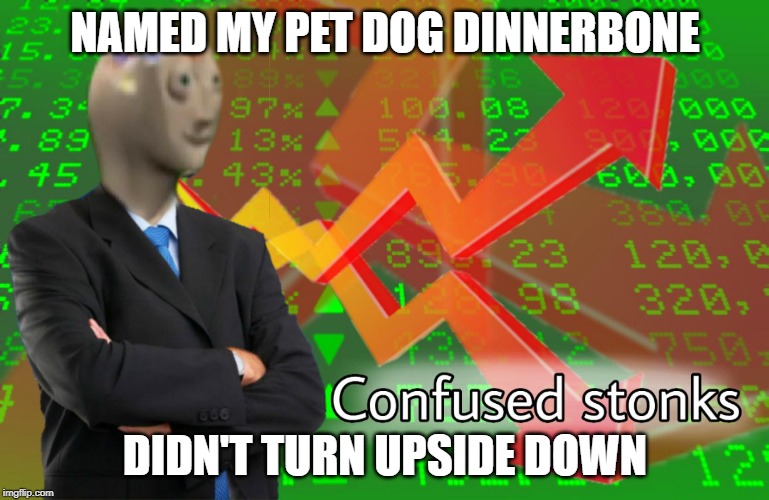 Confused Stonks | NAMED MY PET DOG DINNERBONE; DIDN'T TURN UPSIDE DOWN | image tagged in confused stonks | made w/ Imgflip meme maker