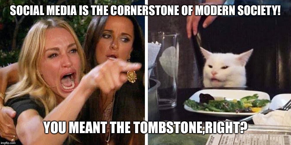 Smudge the cat | SOCIAL MEDIA IS THE CORNERSTONE OF MODERN SOCIETY! YOU MEANT THE TOMBSTONE,RIGHT? | image tagged in smudge the cat | made w/ Imgflip meme maker