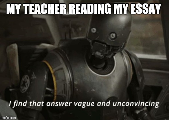 I find that answer vague and unconvincing | MY TEACHER READING MY ESSAY | image tagged in i find that answer vague and unconvincing | made w/ Imgflip meme maker