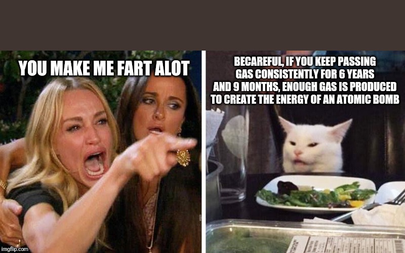 Smudge the cat | BECAREFUL, IF YOU KEEP PASSING GAS CONSISTENTLY FOR 6 YEARS AND 9 MONTHS, ENOUGH GAS IS PRODUCED TO CREATE THE ENERGY OF AN ATOMIC BOMB; YOU MAKE ME FART ALOT | image tagged in smudge the cat | made w/ Imgflip meme maker