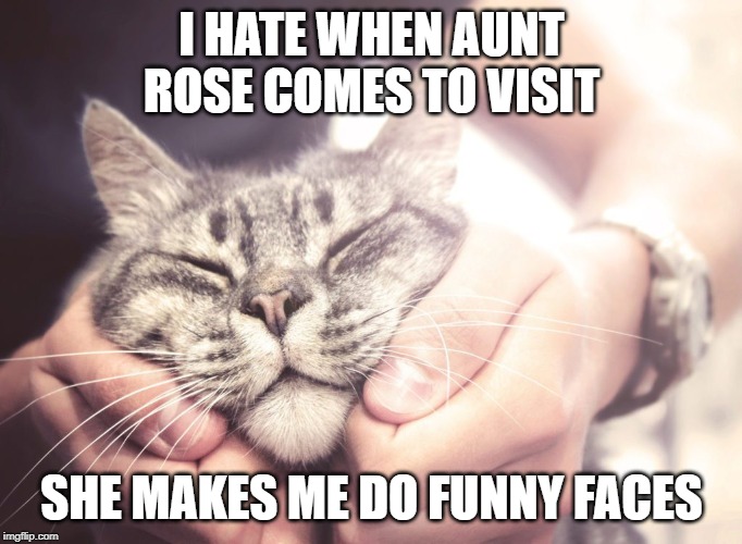 funny face | I HATE WHEN AUNT ROSE COMES TO VISIT; SHE MAKES ME DO FUNNY FACES | image tagged in aunt rose,funny face,cat humor | made w/ Imgflip meme maker