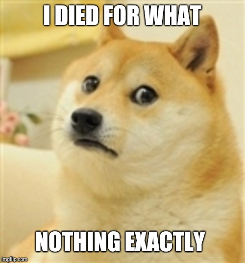 Sad Doge | I DIED FOR WHAT NOTHING EXACTLY | image tagged in sad doge | made w/ Imgflip meme maker