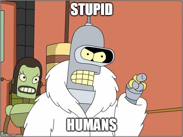 Bender Meme | STUPID HUMANS | image tagged in memes,bender | made w/ Imgflip meme maker
