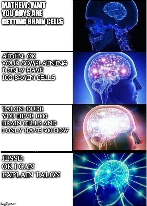 Expanding Brain | MATHEW: WAIT YOU GUYS ARE GETTING BRAIN CELLS; AIDEN: OK YOUR COMPLAINING I ONLY HAVE 100 BRAIN CELLS; TALON: DUDE YOU HEVE 1000 BRAIN CELLS AND I ONLY HAVE 500 HOW; JESSE: OK I CAN EXPLAIN TALON | image tagged in memes,expanding brain | made w/ Imgflip meme maker