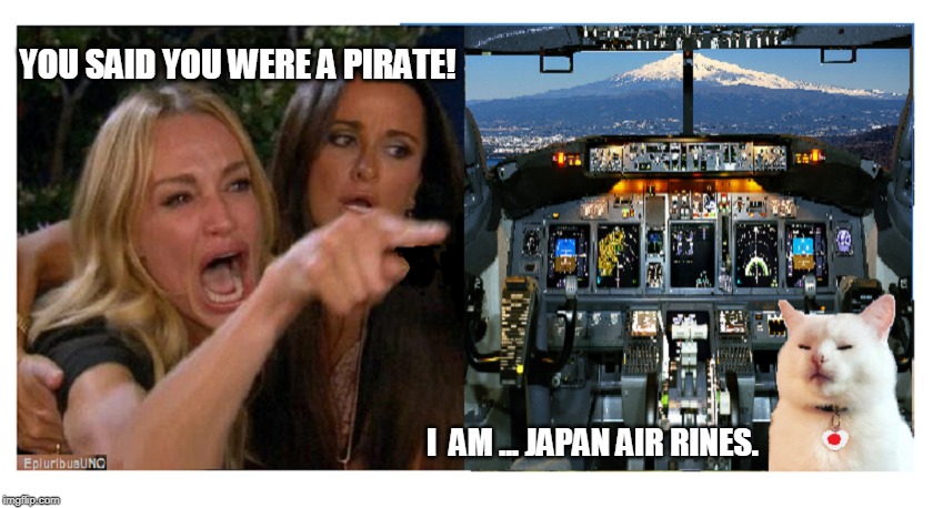 STOP Yerring! | YOU SAID YOU WERE A PIRATE! I  AM ... JAPAN AIR RINES. | image tagged in meanwhile in japan,japan,smudge the cat,lady yelling at cat | made w/ Imgflip meme maker