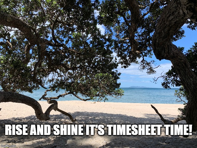 Beach Timesheet Reminder | RISE AND SHINE IT'S TIMESHEET TIME! | image tagged in beach timesheet reminder,timesheet reminder,timesheet meme,beach,rise and shine | made w/ Imgflip meme maker