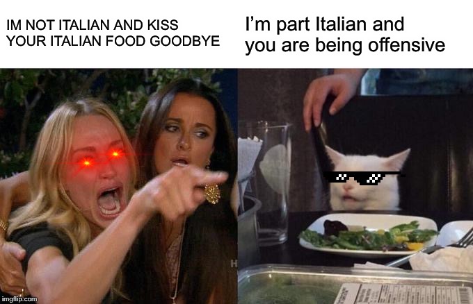 Woman Yelling At Cat | IM NOT ITALIAN AND KISS YOUR ITALIAN FOOD GOODBYE; I’m part Italian and you are being offensive | image tagged in memes,woman yelling at cat | made w/ Imgflip meme maker