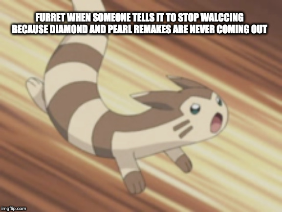 Angry Furret | FURRET WHEN SOMEONE TELLS IT TO STOP WALCCING BECAUSE DIAMOND AND PEARL REMAKES ARE NEVER COMING OUT | image tagged in angry furret | made w/ Imgflip meme maker