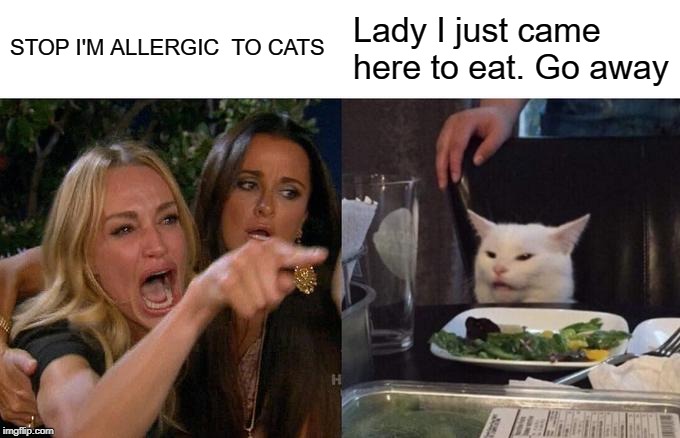 Woman Yelling At Cat |  STOP I'M ALLERGIC  TO CATS; Lady I just came here to eat. Go away | image tagged in memes,woman yelling at cat | made w/ Imgflip meme maker