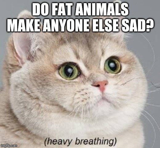 Heavy Breathing Cat Meme - Imgflip