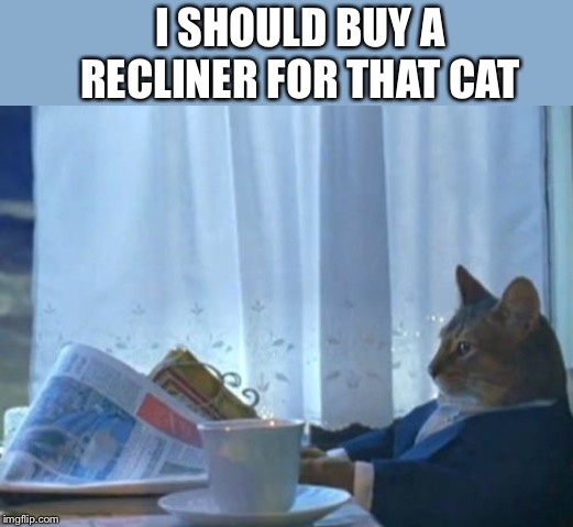 I Should Buy A Boat Cat Meme | I SHOULD BUY A RECLINER FOR THAT CAT | image tagged in memes,i should buy a boat cat | made w/ Imgflip meme maker