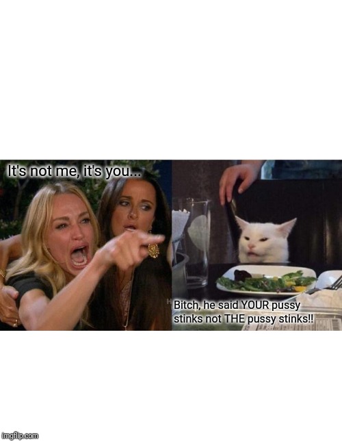 Woman Yelling At Cat Meme | It's not me, it's you... Bitch, he said YOUR pussy stinks not THE pussy stinks!! | image tagged in memes,woman yelling at cat | made w/ Imgflip meme maker