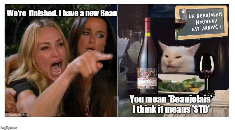 New Beau-jolais | We're  finished. I have a new Beau; You mean 'Beaujolais'
I think it means 'STD' | image tagged in wine drinker,smudge the cat,lady yelling at cat | made w/ Imgflip meme maker