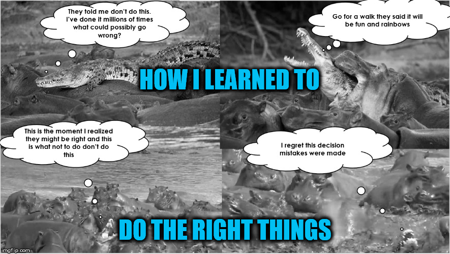 Learning To Do Right | HOW I LEARNED TO; DO THE RIGHT THINGS | image tagged in don't do this,what not to do,i have no idea what i am doing,doing the right things,why am i doing this,doing it wrong | made w/ Imgflip meme maker