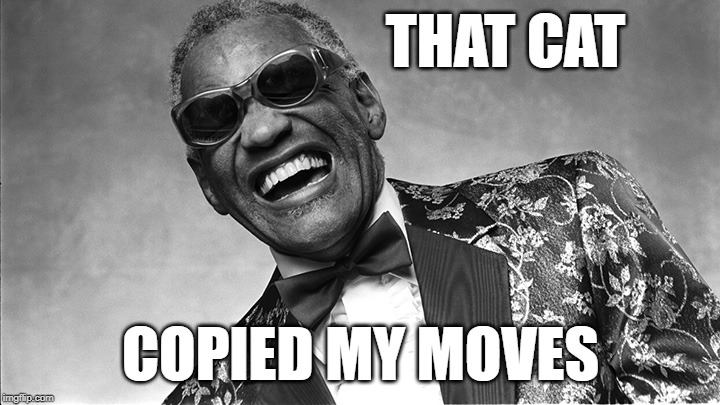 Ray Charles | THAT CAT COPIED MY MOVES | image tagged in ray charles | made w/ Imgflip meme maker
