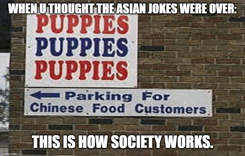 WHEN U THOUGHT THE ASIAN JOKES WERE OVER:; THIS IS HOW SOCIETY WORKS. | image tagged in funny,racist | made w/ Imgflip meme maker