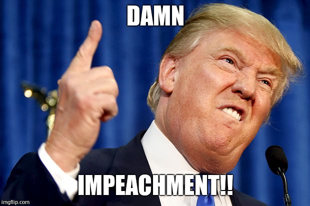 Donald Trump | DAMN IMPEACHMENT!! | image tagged in donald trump | made w/ Imgflip meme maker