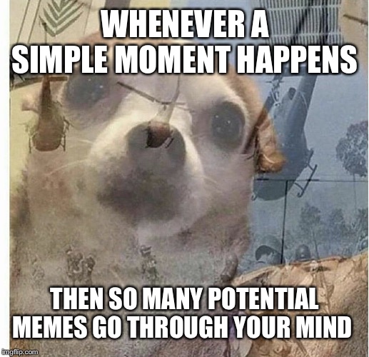 PTSD Chihuahua |  WHENEVER A SIMPLE MOMENT HAPPENS; THEN SO MANY POTENTIAL MEMES GO THROUGH YOUR MIND | image tagged in ptsd chihuahua | made w/ Imgflip meme maker