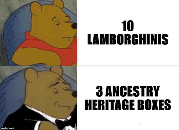 Tuxedo Winnie The Pooh | 10 LAMBORGHINIS; 3 ANCESTRY HERITAGE BOXES | image tagged in memes,tuxedo winnie the pooh | made w/ Imgflip meme maker