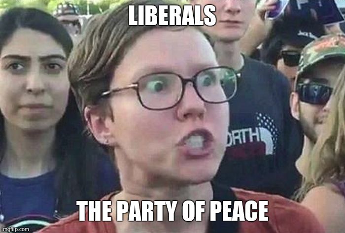 Triggered Liberal | LIBERALS THE PARTY OF PEACE | image tagged in triggered liberal | made w/ Imgflip meme maker