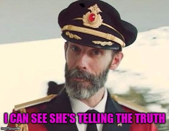 Captain Obvious | I CAN SEE SHE'S TELLING THE TRUTH | image tagged in captain obvious | made w/ Imgflip meme maker