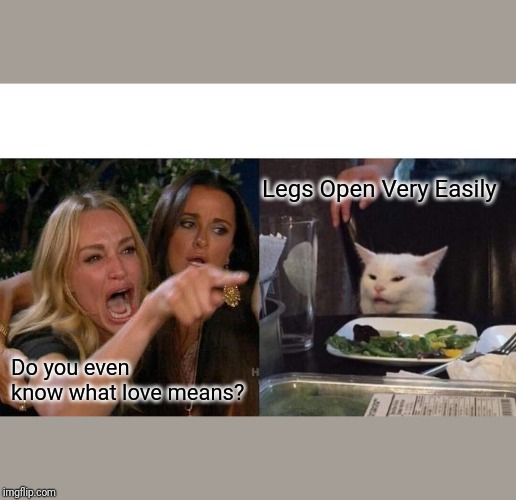 Woman Yelling At Cat Meme | Legs Open Very Easily; Do you even know what love means? | image tagged in memes,woman yelling at cat | made w/ Imgflip meme maker