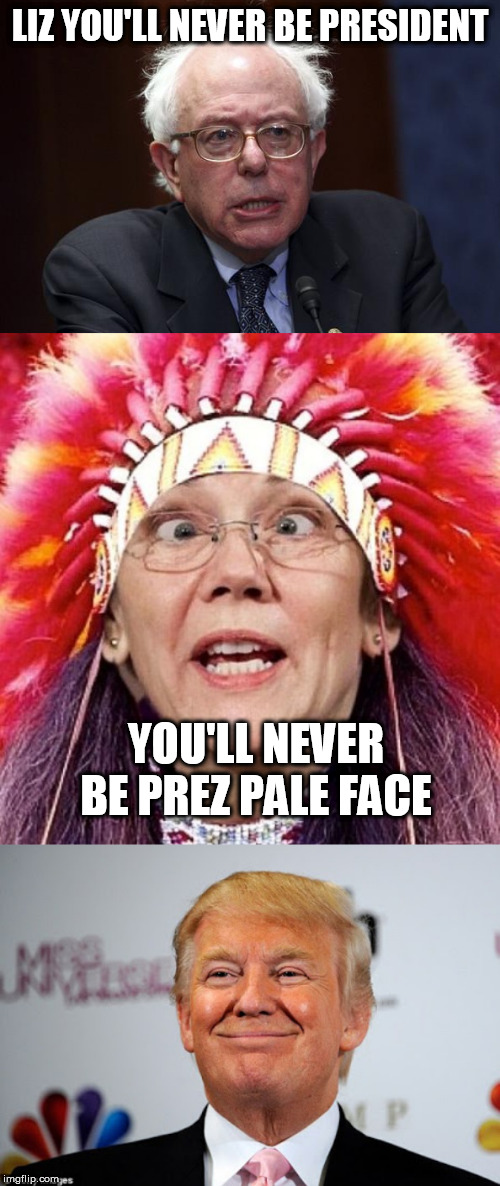 LIZ YOU'LL NEVER BE PRESIDENT; YOU'LL NEVER BE PREZ PALE FACE | image tagged in bernie sanders,donald trump approves,elizabeth warren | made w/ Imgflip meme maker